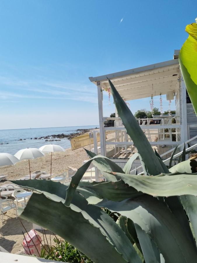 Sea View App Mirta Apartment Umag Luaran gambar
